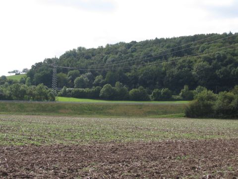 Zwischen Niedergandern und Friedland