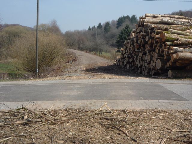 Bahnbergang ber den Tannenweg