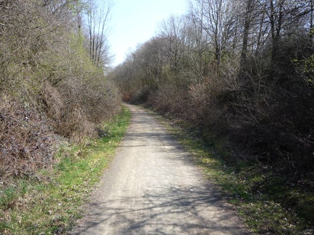 Zwischen Grgelborn und Oberkirchen