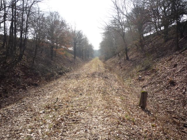 Einschnitt hinter Wolfersweiler