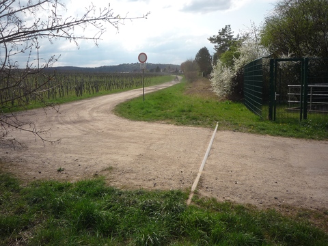 Bahnbergang zwischen Grnstadt und Sausenheim