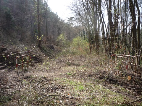 Bahnbergang zwischen Grnstadt und Sausenheim