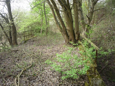 Brcke ber den Seltenbach