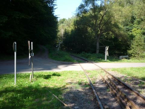 Bahnübergang über einen Forstweg