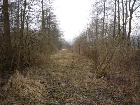 Zwischen Heuchenheim-Klingen und Klingenmnster