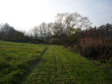 Zwischen Heuchenheim-Klingen und Klingenmnster