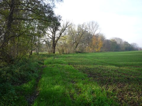 Zwischen Ingenheim-Appenhofen und Heuchenheim-Klingen