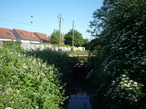 Brcke ber den Leimbach