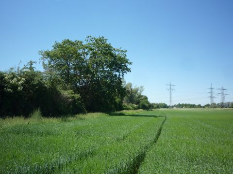 Zwischen Talhaus und Luhof
