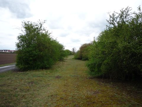 Zwischen Hochstetten und Linkenheim