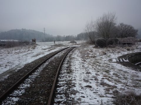 Zufahrt zum Ried