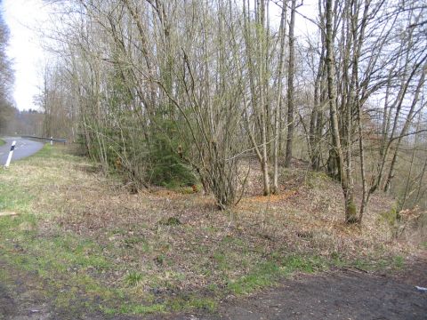 Brcke zwischen Krauchenwies und Josephslust