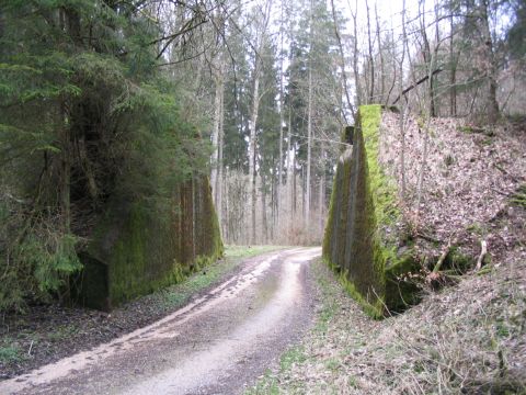 Ehemalige Brcke beim Wusthau Weiher