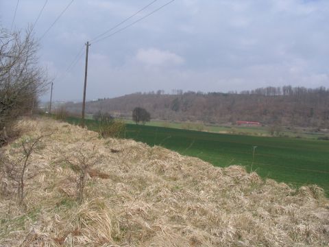 Zwischen Josephslust und Sigmaringen