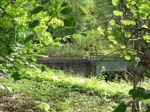 Brcke ber die Steinach