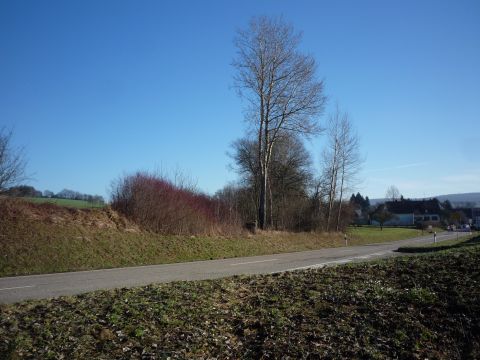 Bahnbergang ber die Asbacher Strae