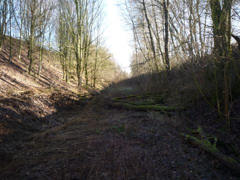 Einschnitt zwischen Daudenzell und Asbach