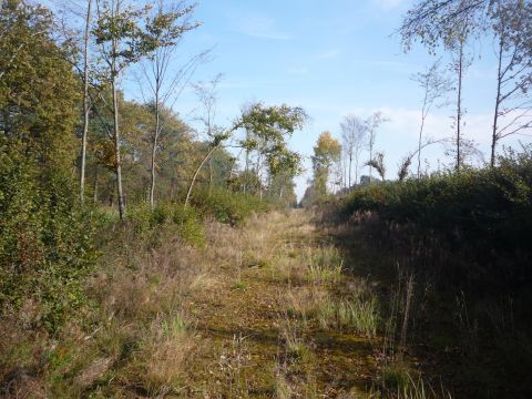 Zwischen Walldrn und Hpfingen