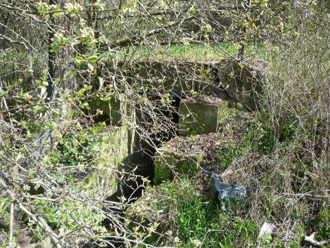 Brcke an der Blauhalde