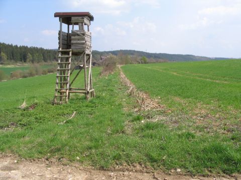 Zwischen Brenloh und Dossingen