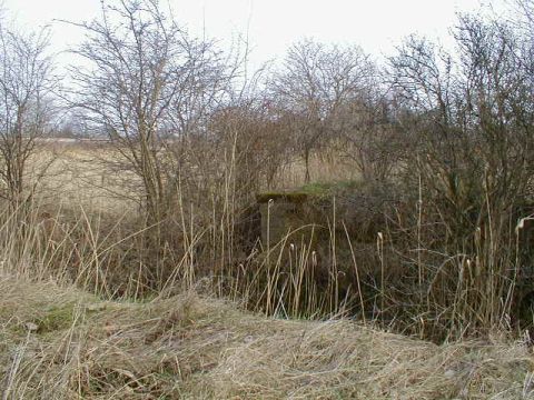 Brckenkopf im Gebsch