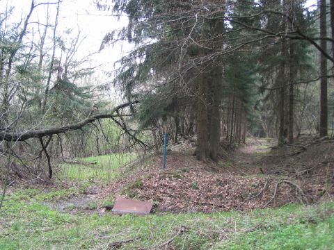 Abzweig Fabrik Oberwald