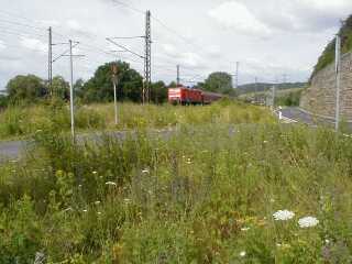 Bahnhof Treffurt, Gleisseite