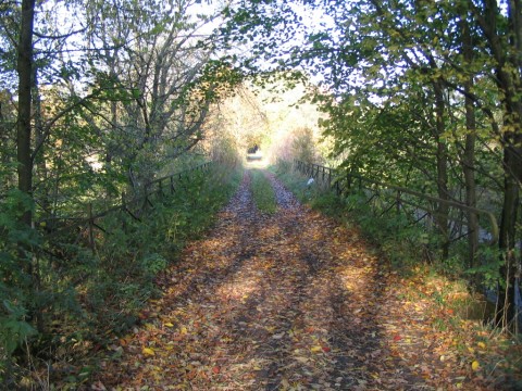 2. Brcke ber die Strae nach Weienborn-Lderode