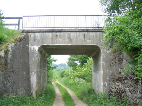 Brcke im Wald zwischen Rhumspringe und Phlde