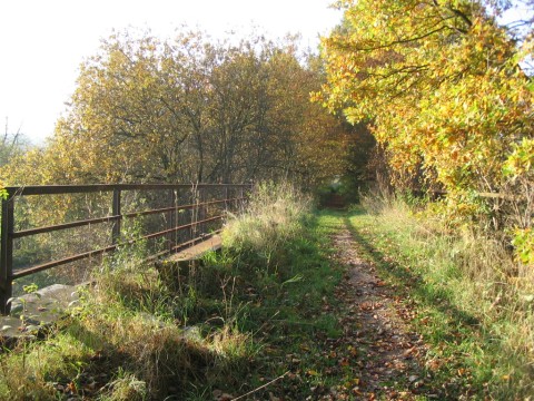 Brcke ber die Strae von Weienborn nach Zwinge