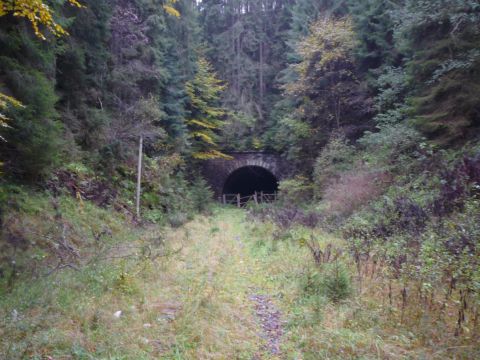 Nordportal des Hirsauer Tunnels