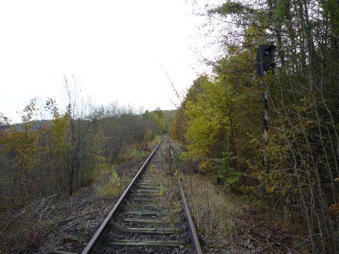 Zwischen Weil der Stadt und Schafhausenn