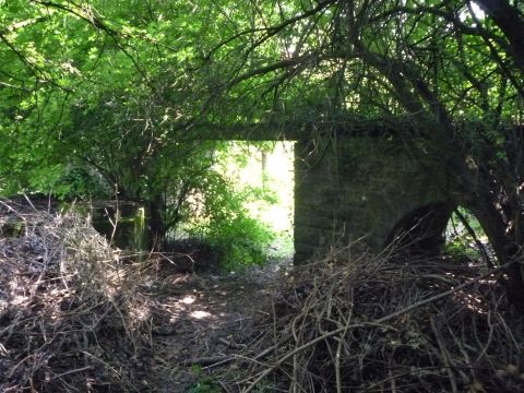 Brcke am Kloster Schntal