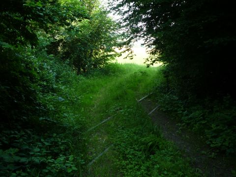 Zwischen Bieringen und Westernhausen