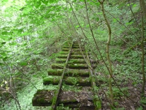 Zwischen Jagsthausen und Steinbruch Berlichen