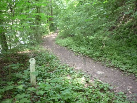 Zwischen Jagsthausen und Steinbruch Berlichen