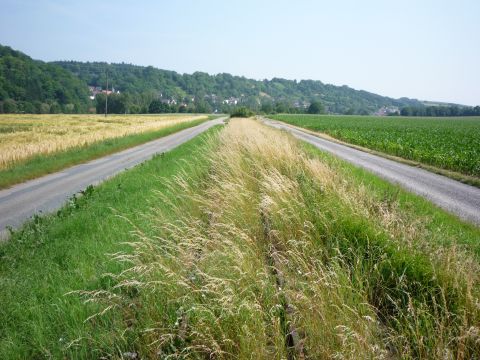 Zwischen Westernhausen und Winzenhofen