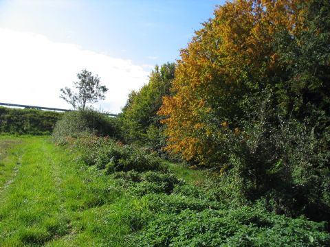 Einstige Brcke der Autobahn Stuttgart - Ulm