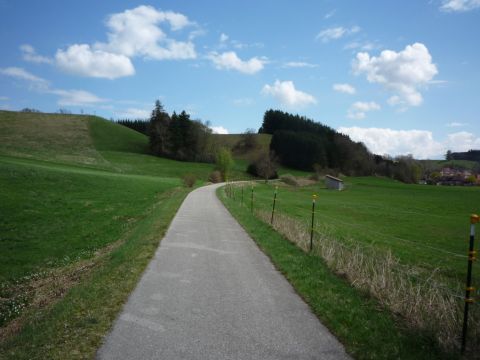 Zwischen Aufkirch und Osterzell