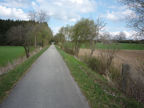 Zwischen Linden und Aufkirch