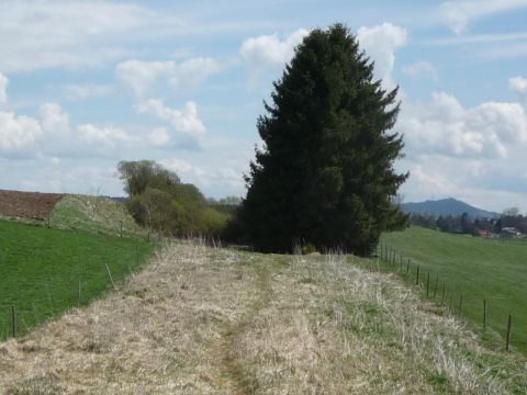 Zwischen Schwabbruck und Altenstadt