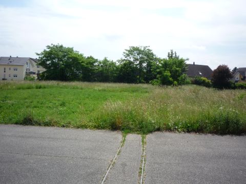 Feldbahnrest in Iffezheim