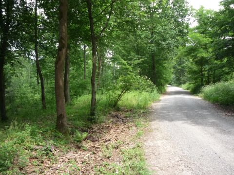 Zwischen Iffezheim und Rastatt bergabebahnhof