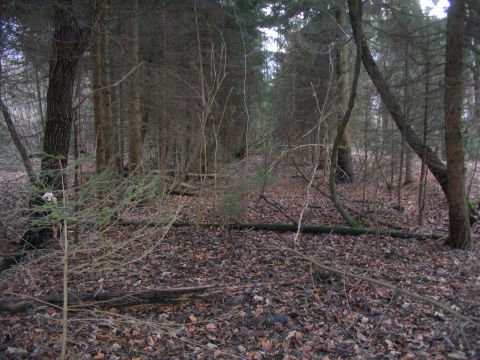 Trasse hinter dem Bahnwrterhuschen