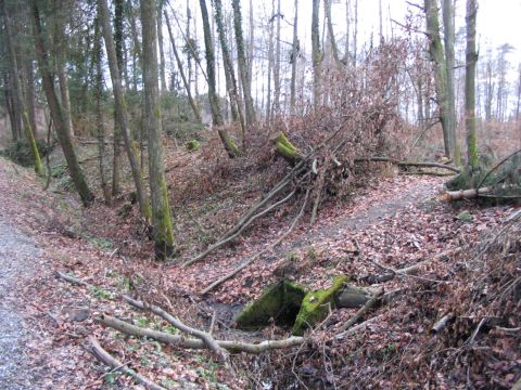 Trasse hinter dem Bahnwrterhuschen