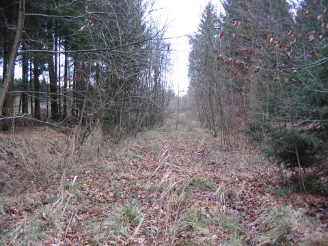 Trasse hinter dem Bahnwrterhuschen