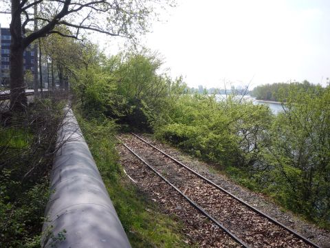 Rheinhafen